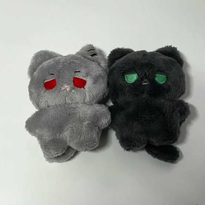 플레이브 솜솜플리 예준 은호 하민