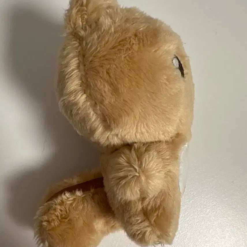 뽀송태현 판매해요