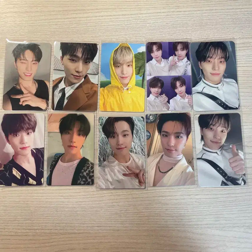 세븐틴 디노 포토카드 일괄