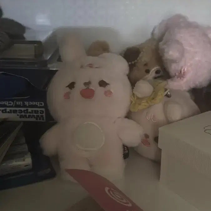 데니멀즈 쁘띠멀즈 필 양도