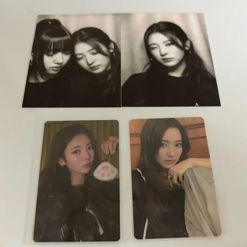MEOVV 미야오 포카 안나 수인