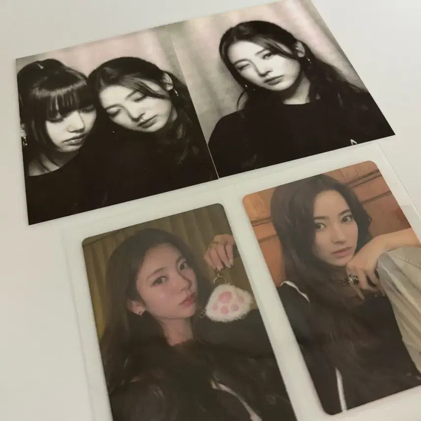 MEOVV 미야오 포카 안나 수인