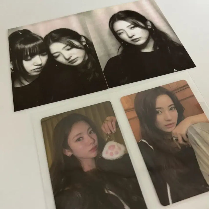 MEOVV 미야오 포카 안나 수인