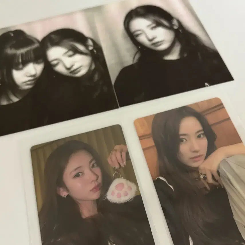 MEOVV 미야오 포카 안나 수인