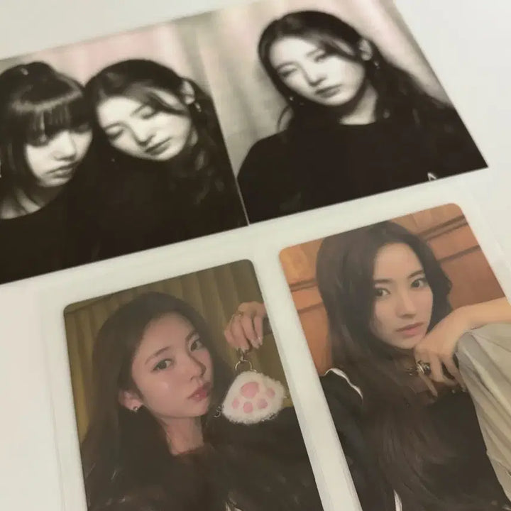 MEOVV 미야오 포카 안나 수인