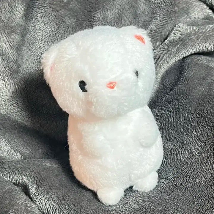 비니, 베레모 포함) 현진 황쪽이 비공굿 인형 양도