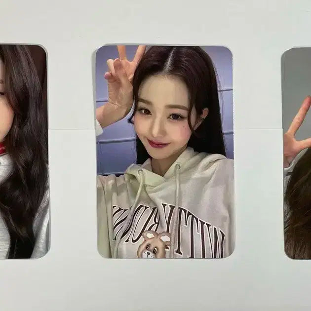 키르시 원영