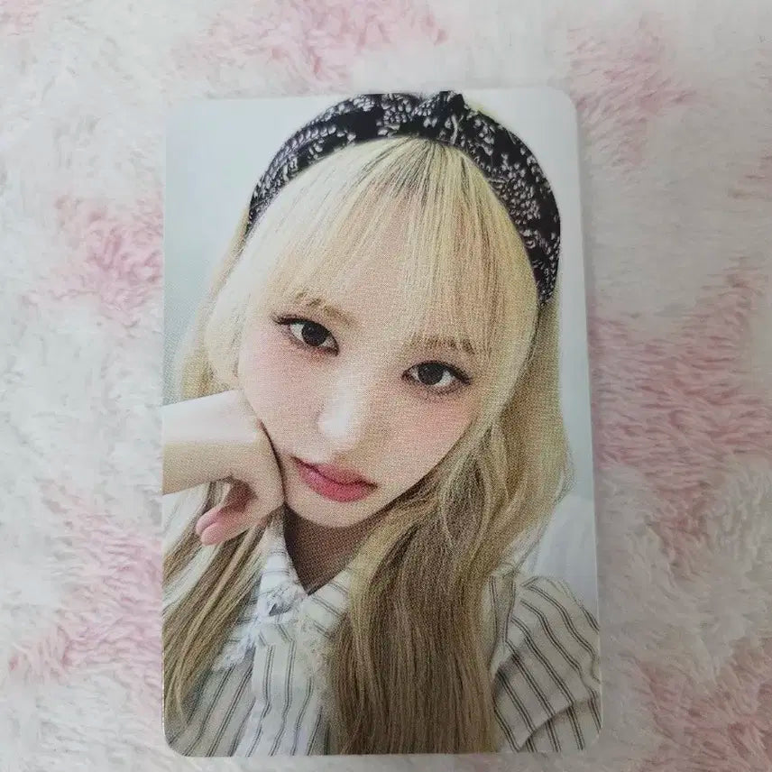 아이브 2025시그 리즈