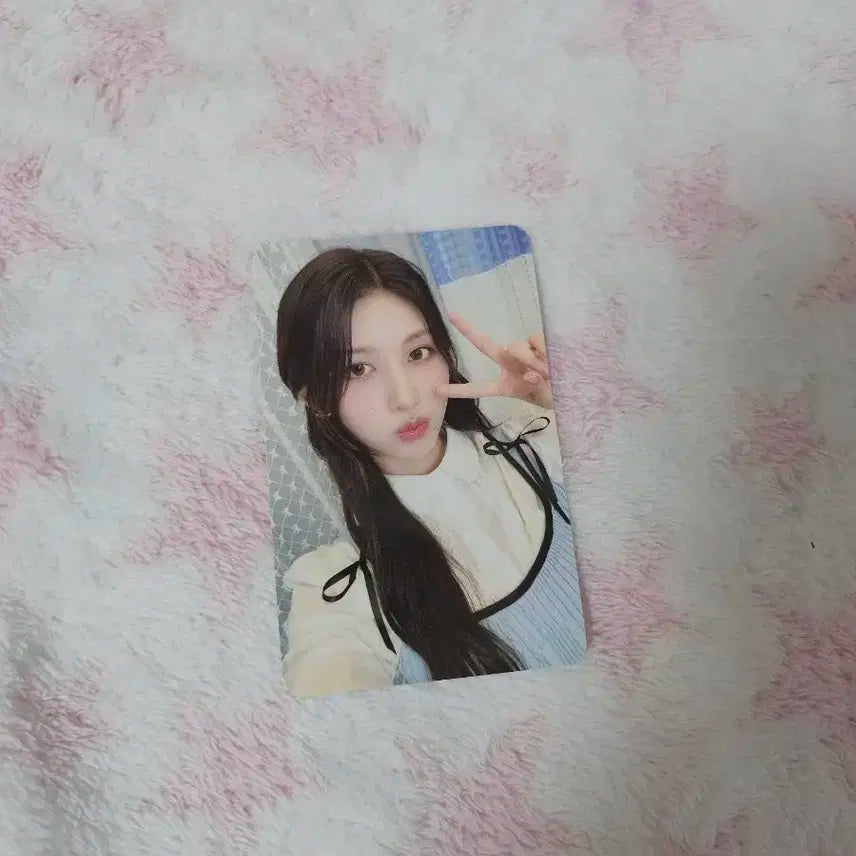 아이브 2024시그 가을