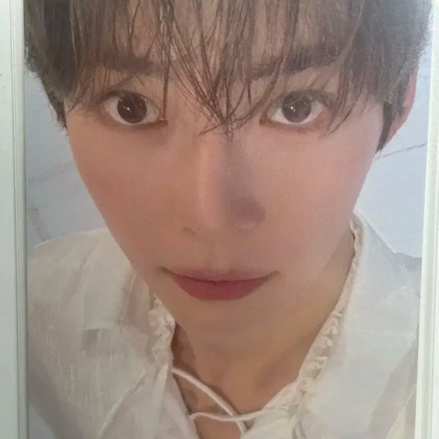 성한빈 엠씨 햄씨 엠씨석 포카 공방 양도 엠카 엠카운트다운