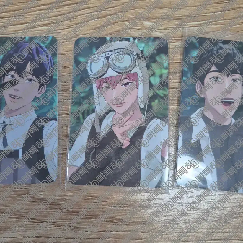 플레이브 웨포럽 케타포 포카 판매