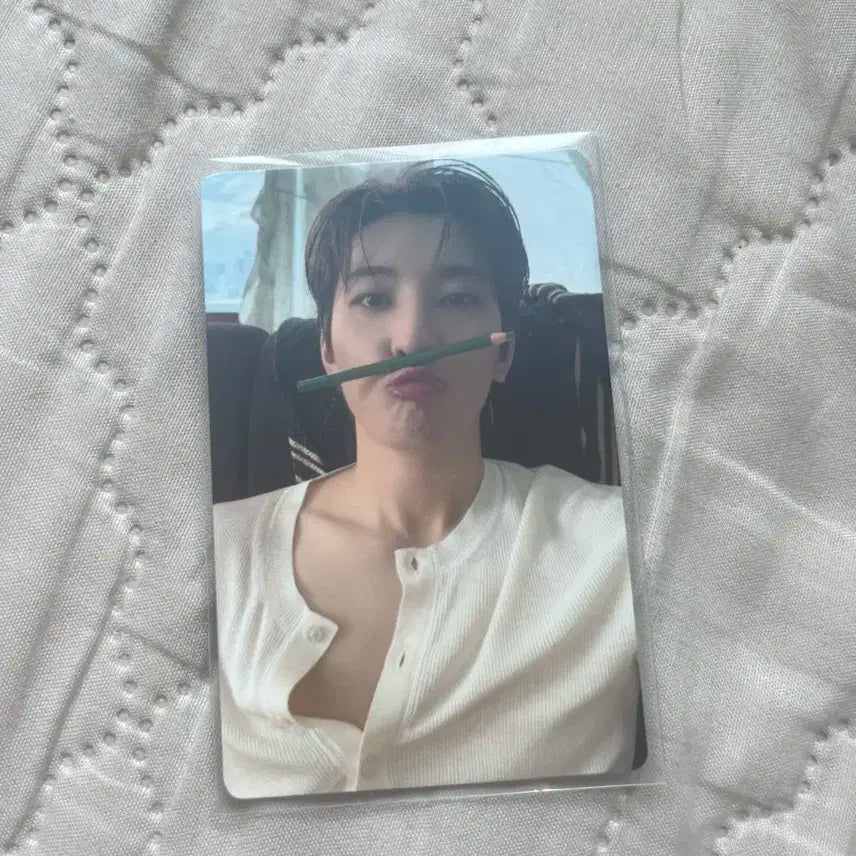 세븐틴 원우 연필원우 포카