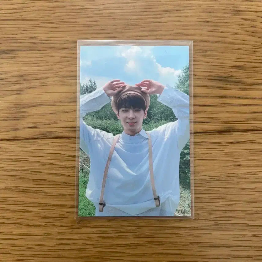 세븐틴 원우 독 공방 포카 베레모 양도