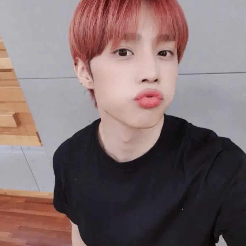더보이즈 선우 인형 떤코 양도