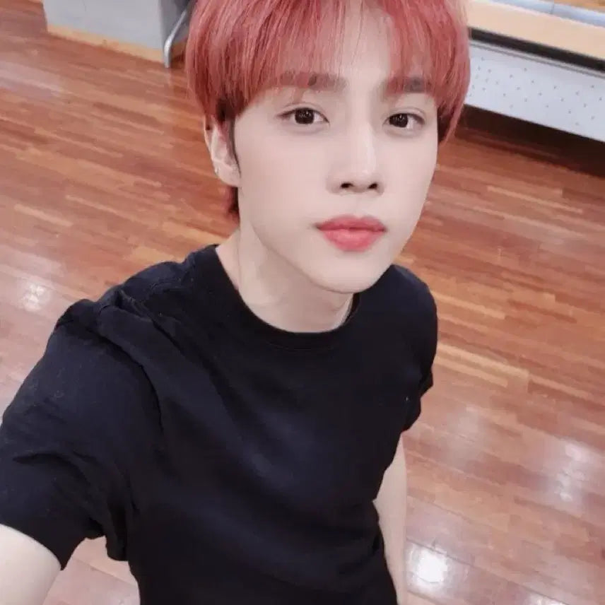 더보이즈 선우 인형 떤코 양도