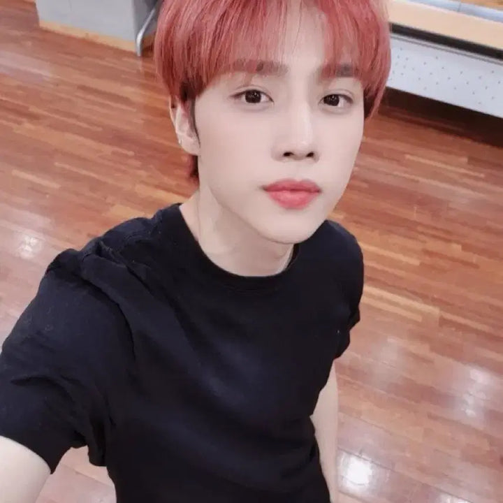 더보이즈 선우 인형 떤코 양도