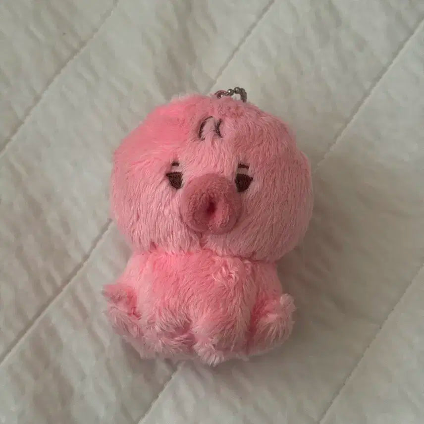 더보이즈 선우 떤코 판매