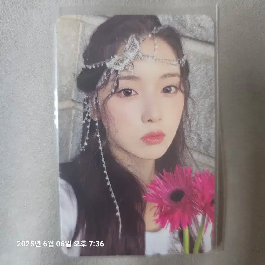 엔믹스 지우 포카 4장 일괄