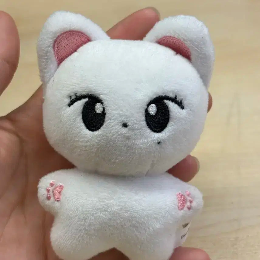 판매글)냥즈 팔아요!