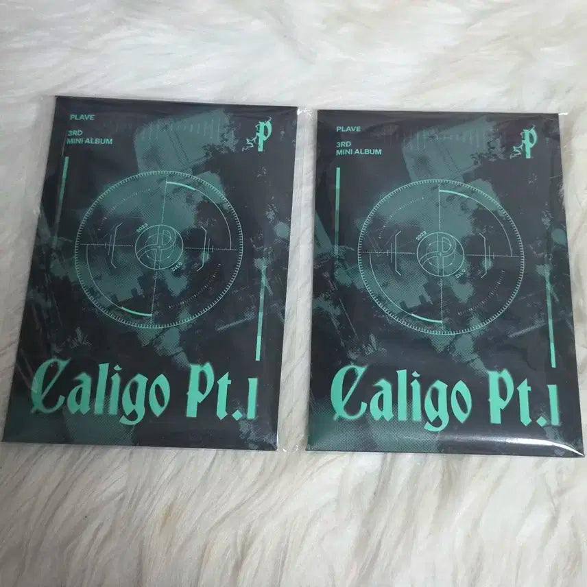 플레이브 포카앨범 미개봉 칼리고 pt1 dash