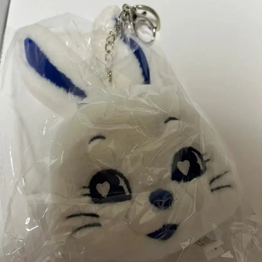 뉴진스 버니즈클럽 1기 키트