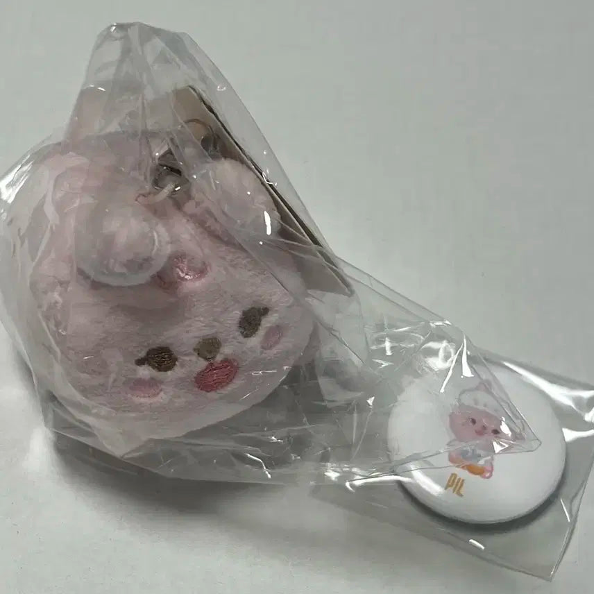 데이식스 데니멀즈 쁘띠멀즈 사족보행 원필 필 양도