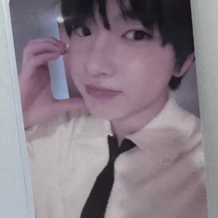 사쿠야 위시 KMS 포카 판매