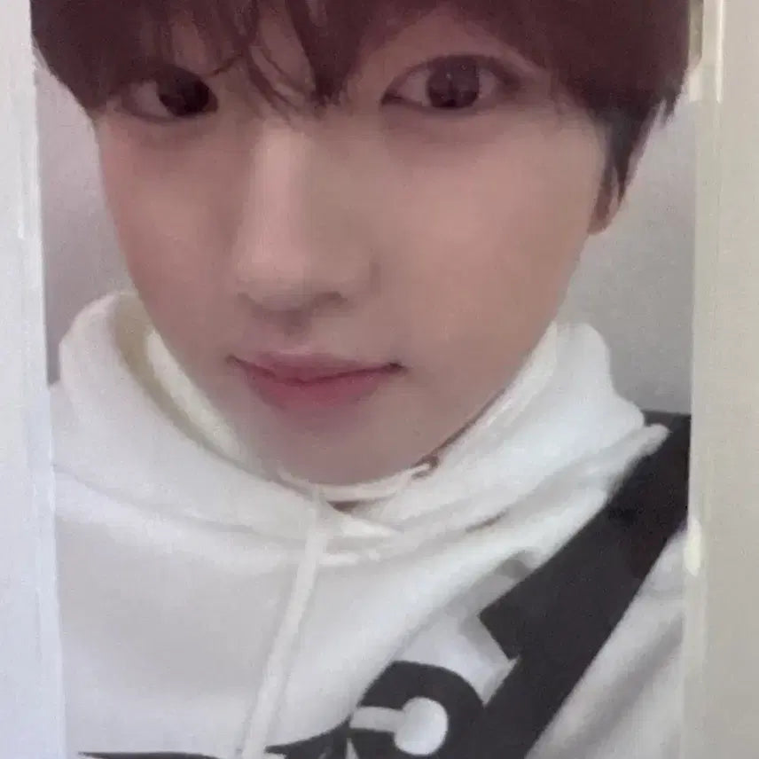 사쿠야 위시 위드뮤 포카 판매