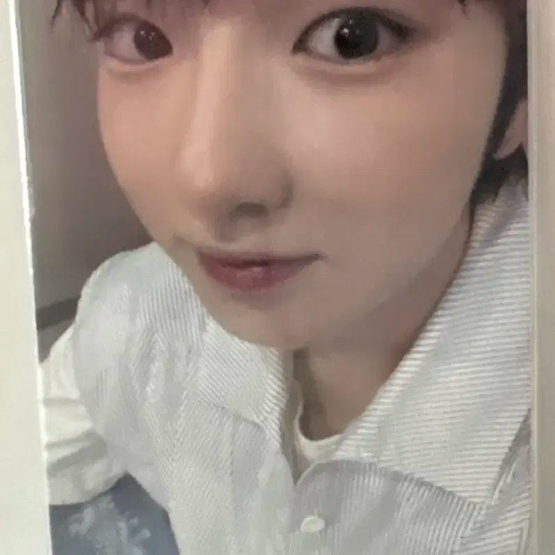 사쿠야 위시 포카 판매