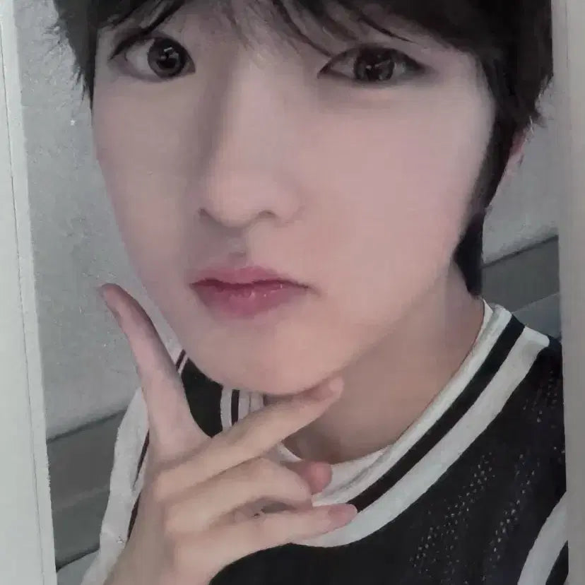 사쿠야 송버드 디어마이뮤즈 포카 판매