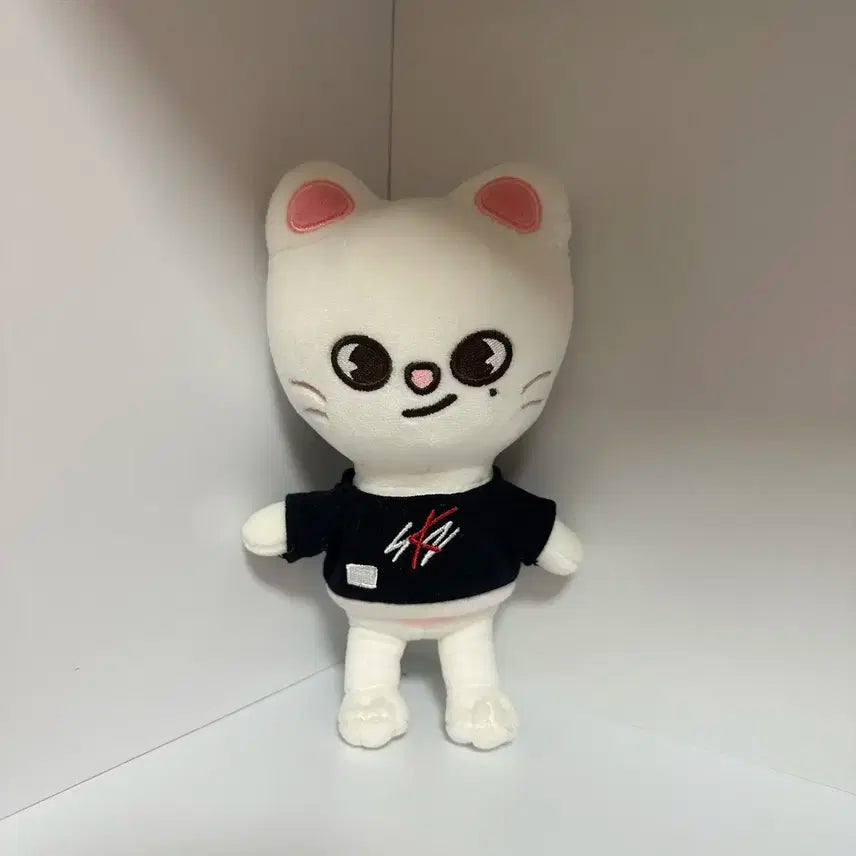 스트레이키즈 스키주 지니렛 양도