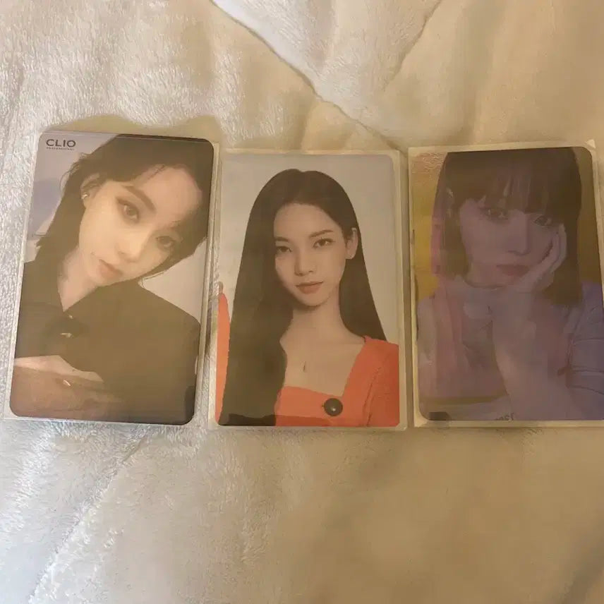 메디힐 카리나 클리오 윈터 세비지 윈터 에스파 포카