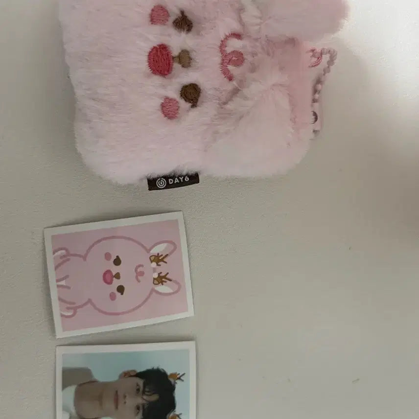 데이식스 데니멀즈 쁘띠멀즈 id 포토홀더