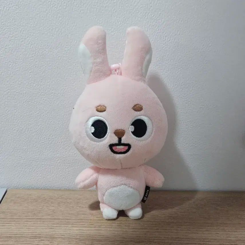 데이식스 데니멀즈 24필끼 원필