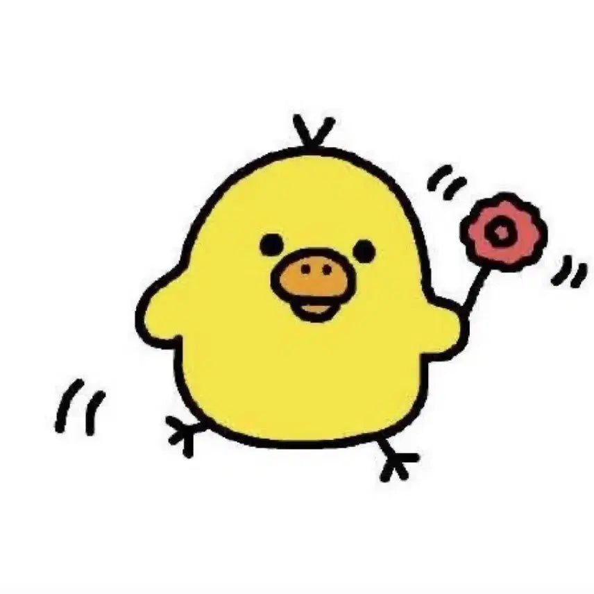 엔시티위시 포카
