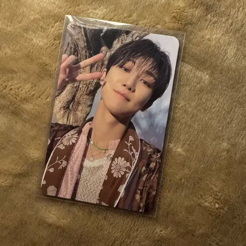 페더썬 명호 양도