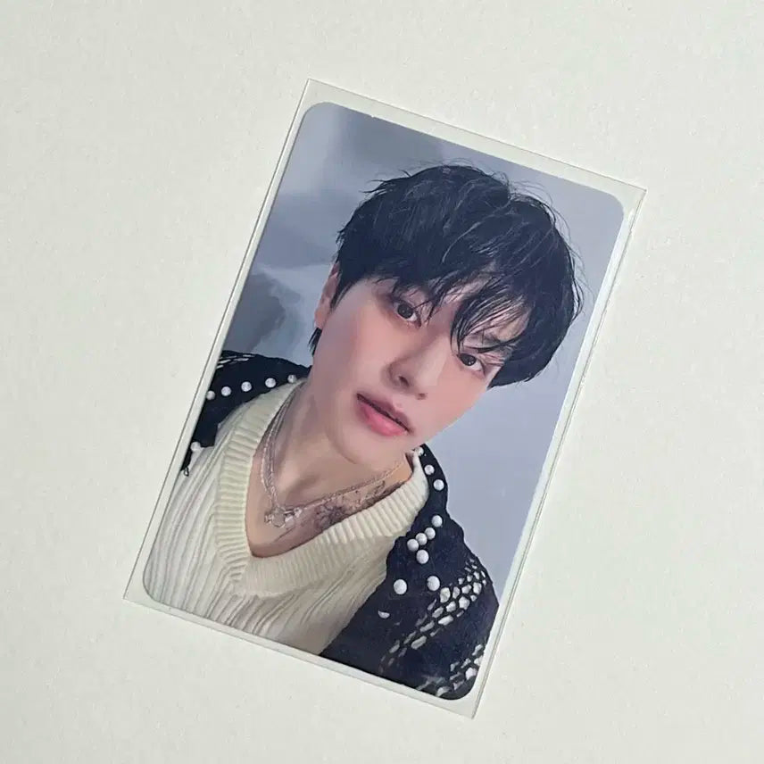 승민 ate 아코디언 앨포 포카