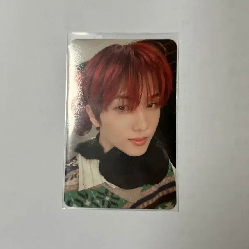 엔시티 지성 포카 양도