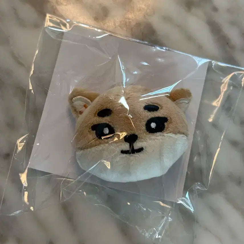 데이식스 소프트뱃지 케