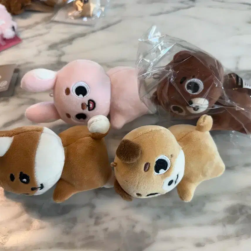 데이식스 워머 콩주머니 데니멀즈