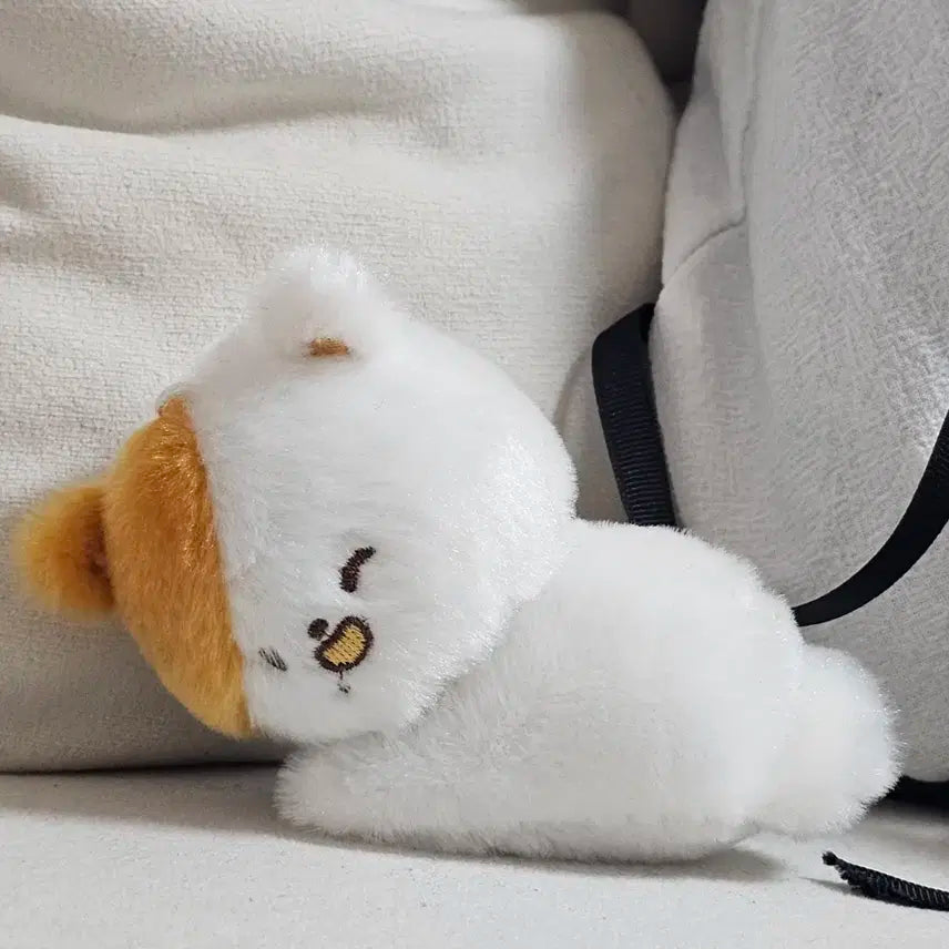엔시티 지성 베이비 포켓찌 포켓쮜 인형 양도