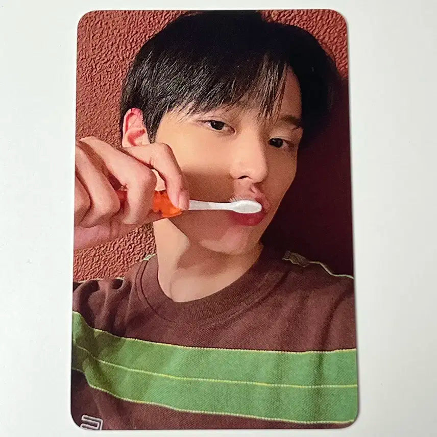 더보이즈 미공포 양치 주연 헬로라이브 양도 판매