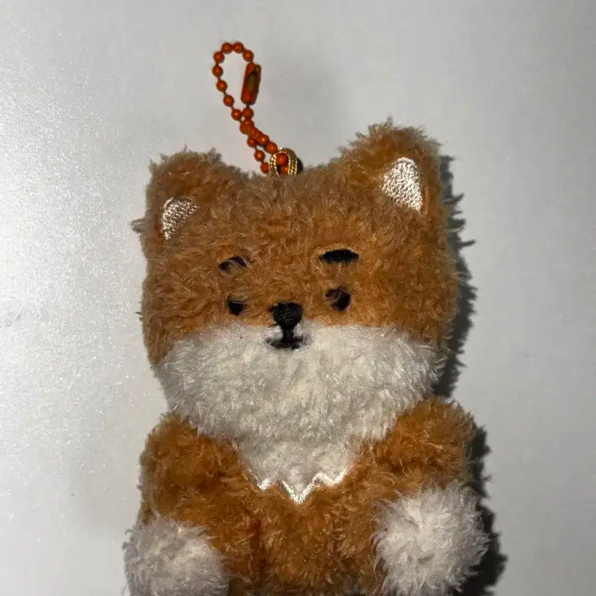 데이식스 영케이 쁘띠케 앉은 케 양도