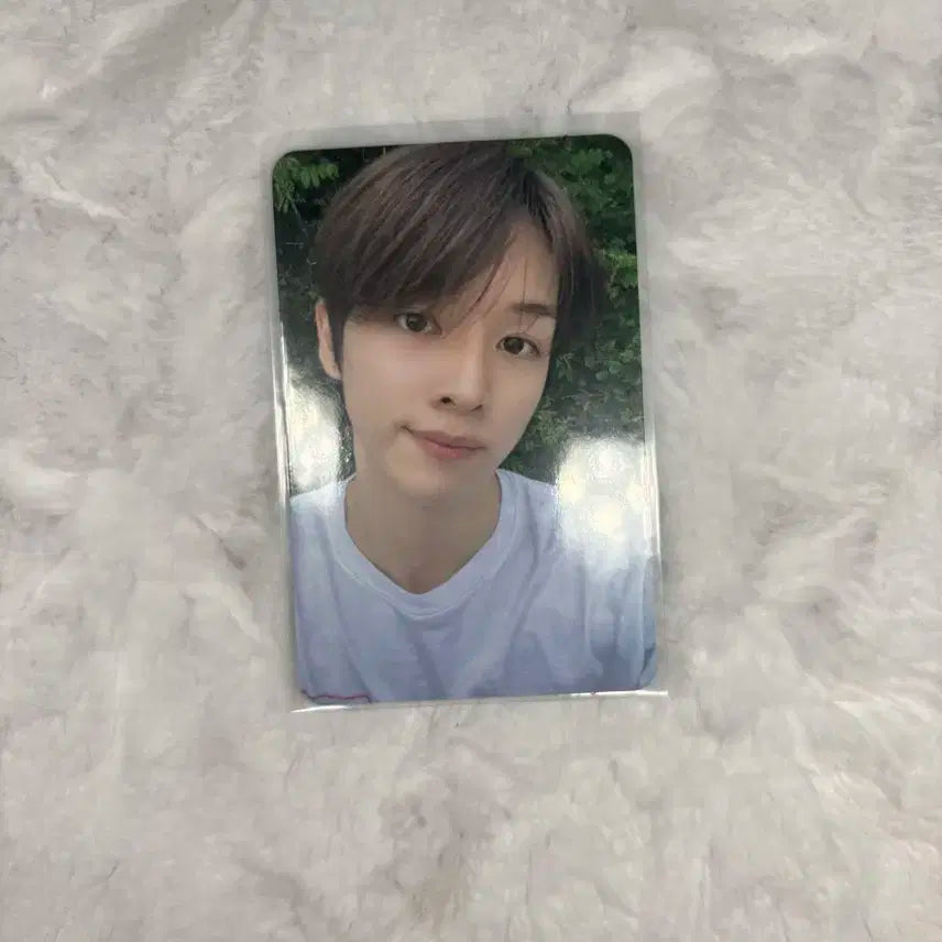 라이징 사웨 성찬 양도