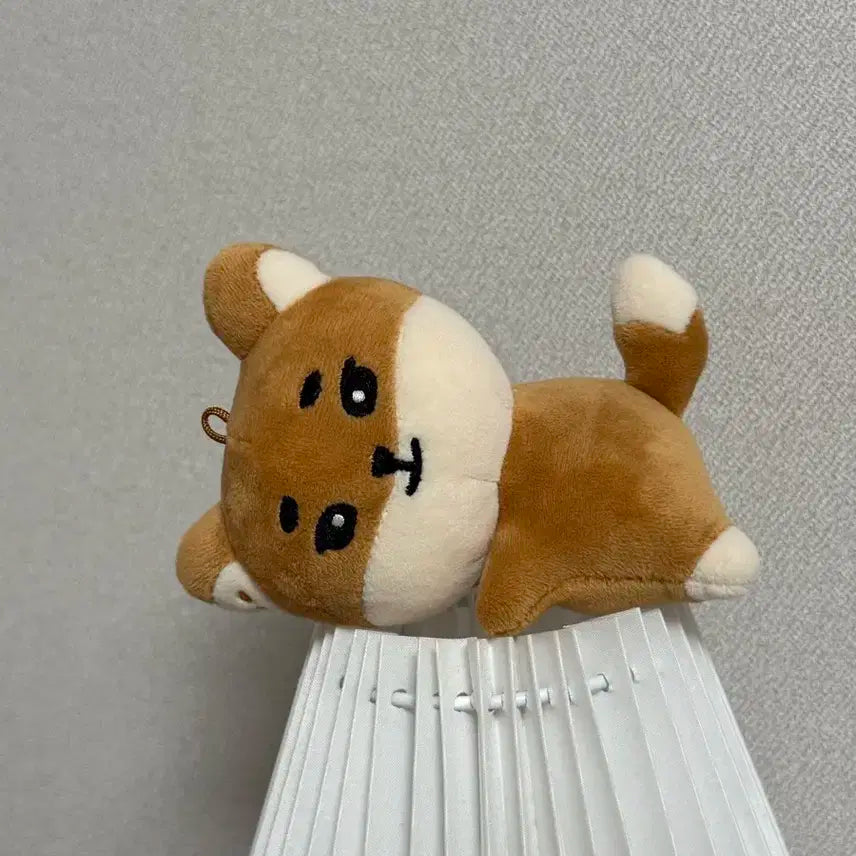 데이식스 클콘 MD 핸드워머 케