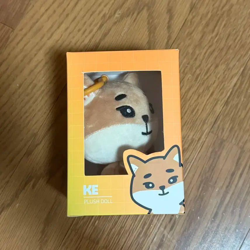 데이식스 데니멀즈 24케