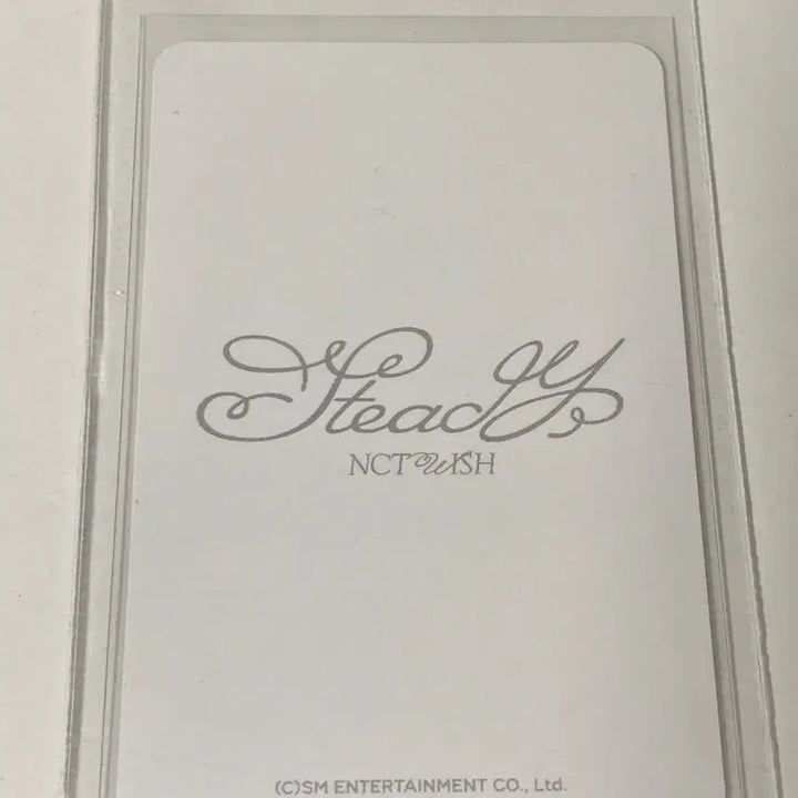 사쿠야 스테디 엠디 Steady MD 팔찌 포카 판매