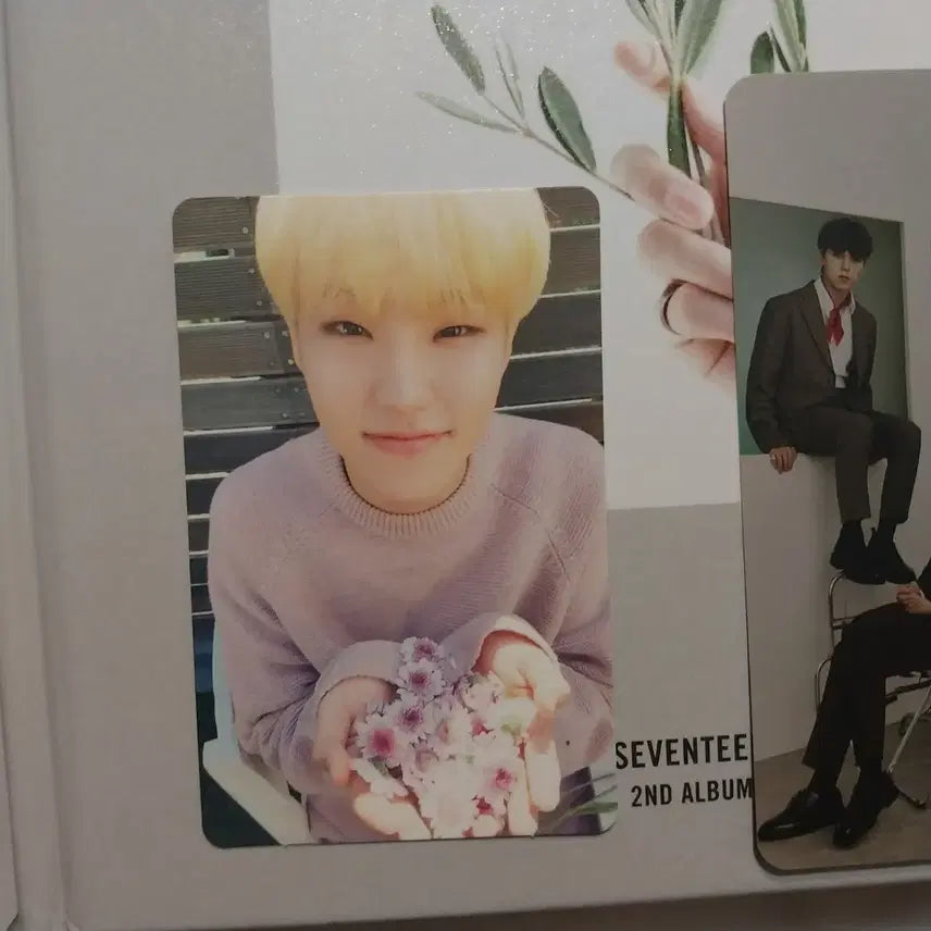 앨범 덤 teen age 세븐틴 호시 포카 포토카드 판매
