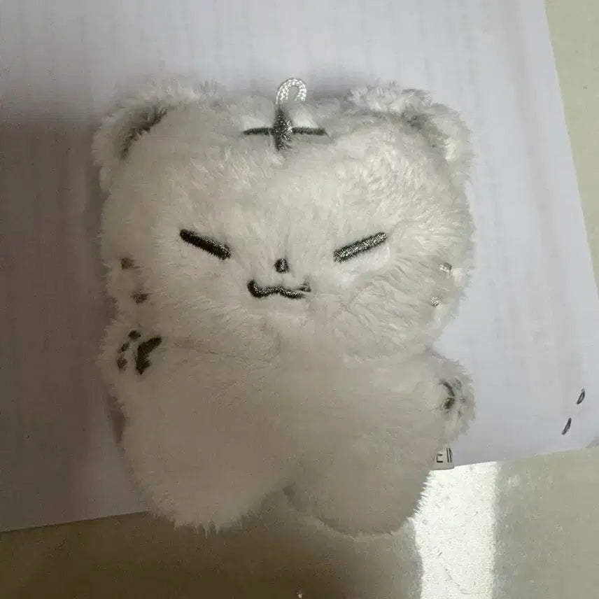 세븐틴 호시 인형 양도 호찌