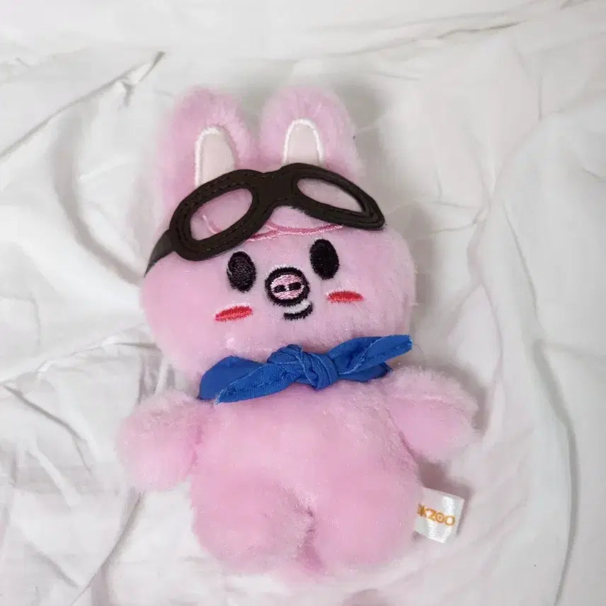 스키주 돼끼 파일럿 콩키주